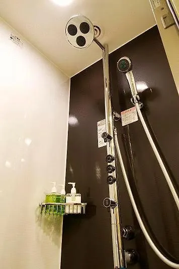 Hotel Ryumeikan Tokyo 4*,  Japan